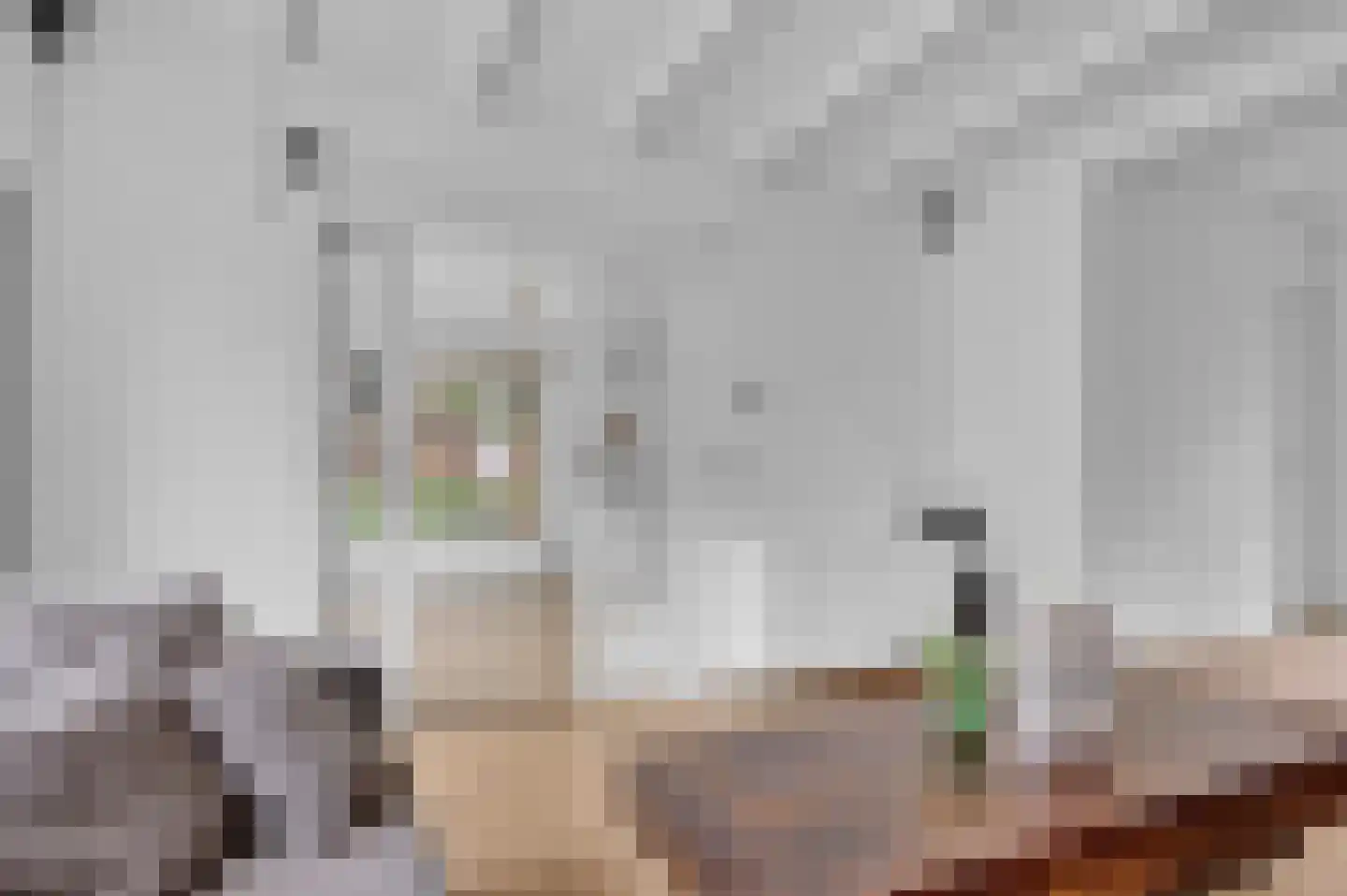 Groot Kerkhof 23 Bolsward thumbnail 21