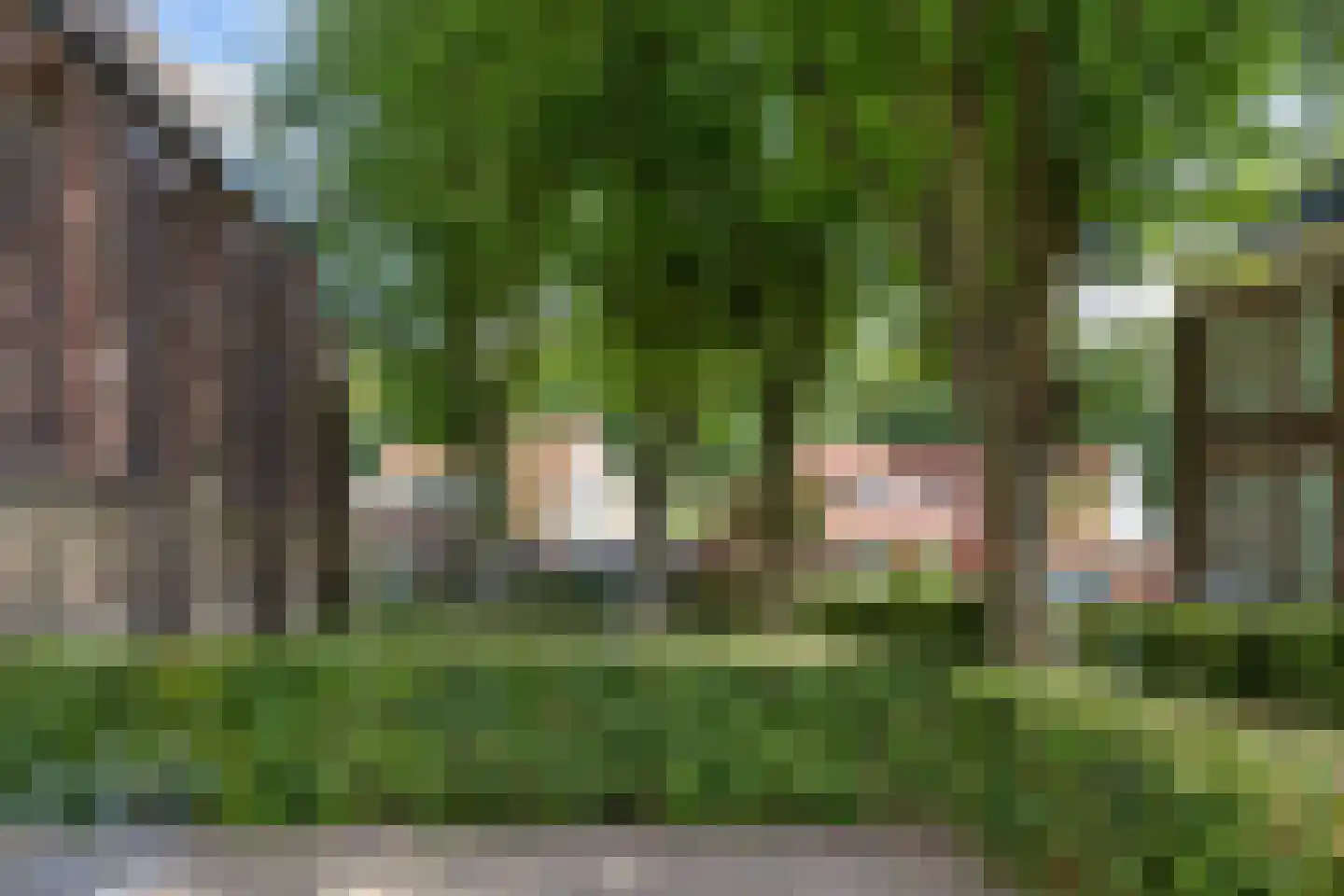 Groot Kerkhof 23 Bolsward thumbnail 39