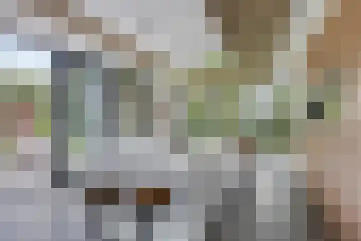 Groot Koemeer 25 Wintelre thumbnail 11