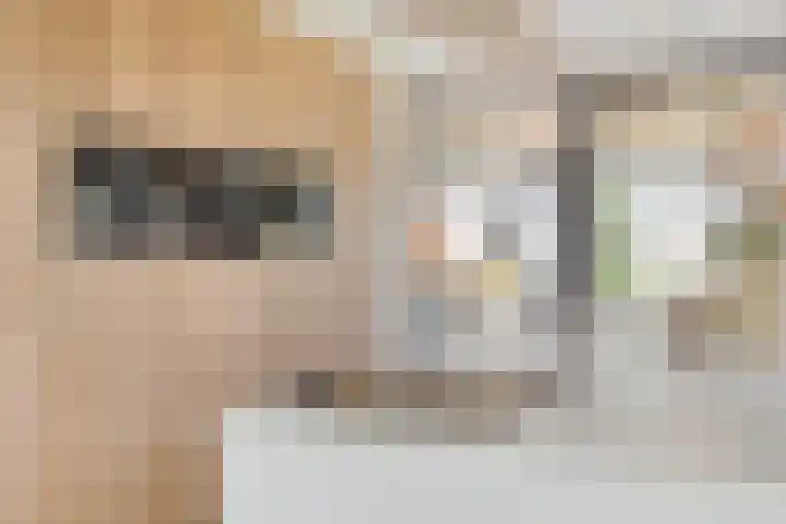 Groot Koemeer 25 Wintelre thumbnail 14