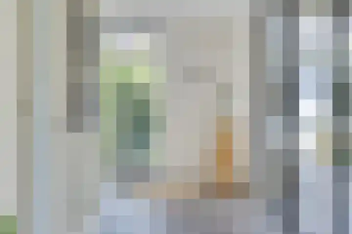 Groot Koemeer 25 Wintelre thumbnail 17