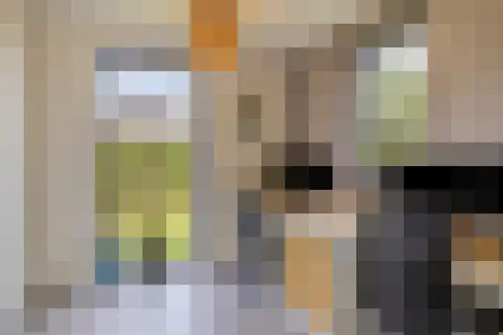 Groot Koemeer 25 Wintelre thumbnail 21