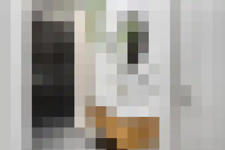 Groot Koemeer 25 Wintelre thumbnail 30