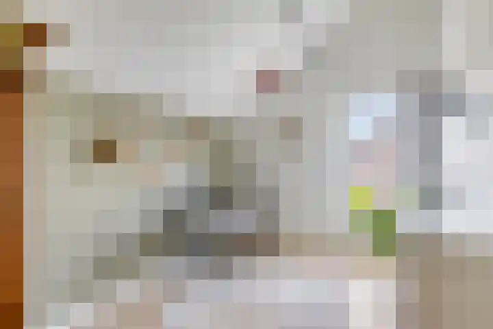 Groot Koemeer 25 Wintelre thumbnail 34