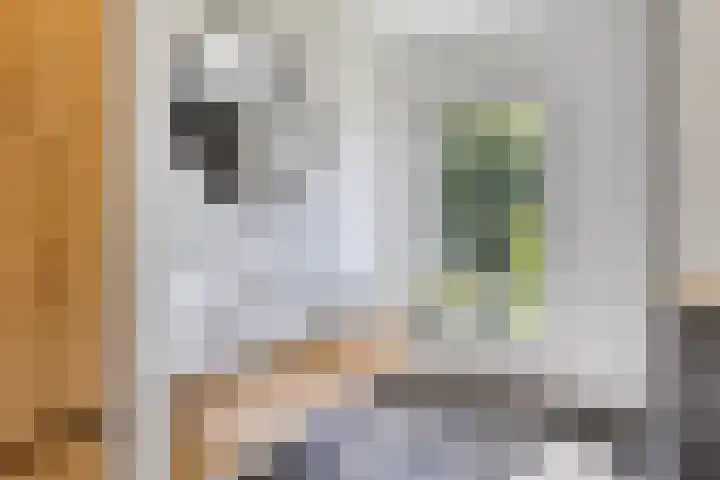 Groot Koemeer 25 Wintelre thumbnail 36