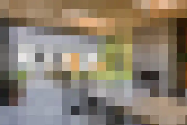 Groot Koemeer 25 Wintelre thumbnail 39