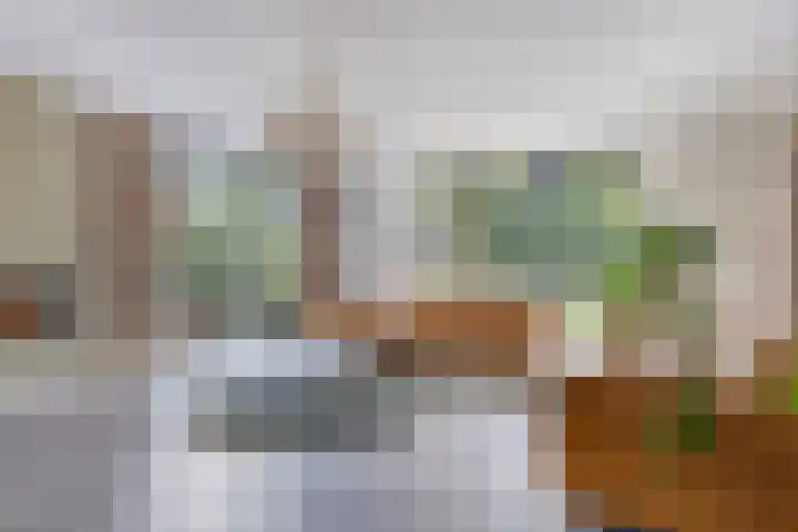 Groot Koemeer 25 Wintelre thumbnail 4