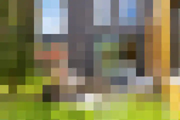 Groot Koemeer 25 Wintelre thumbnail 52