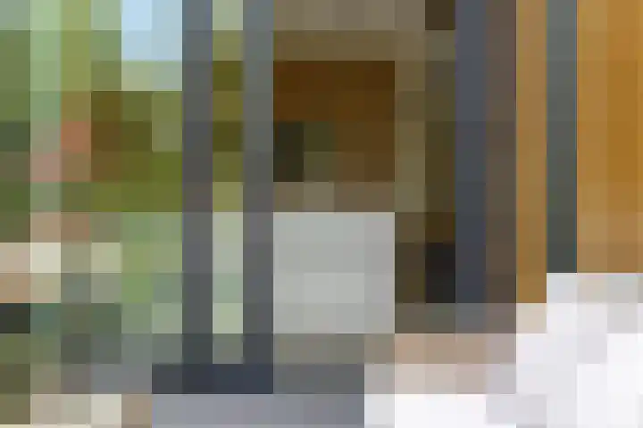 Groot Koemeer 25 Wintelre thumbnail 53