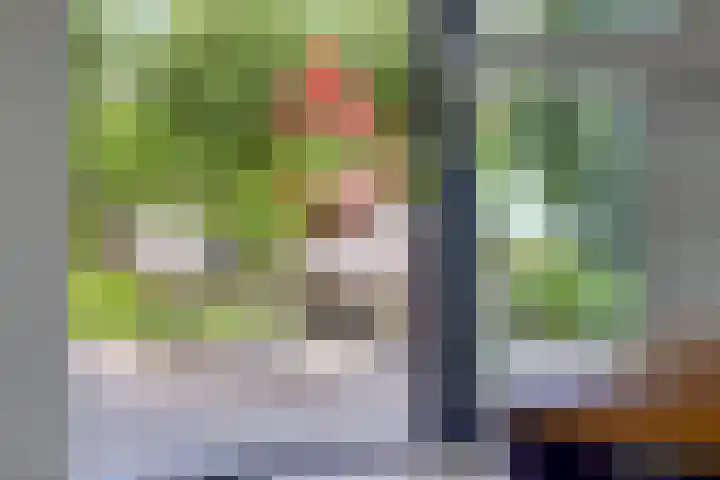 Groot Koemeer 25 Wintelre thumbnail 54