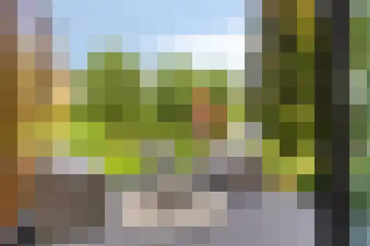 Groot Koemeer 25 Wintelre thumbnail 55