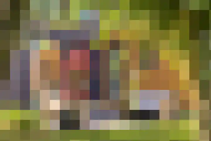 Groot Koemeer 25 Wintelre thumbnail 56