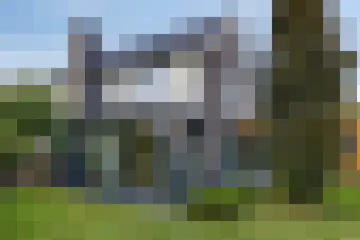 Groot Koemeer 25 Wintelre thumbnail 57