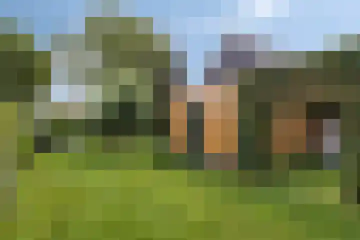Groot Koemeer 25 Wintelre thumbnail 58