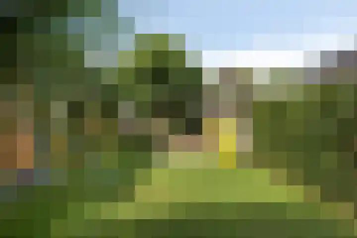 Groot Koemeer 25 Wintelre thumbnail 59