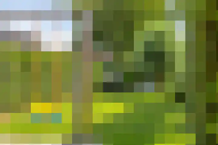 Groot Koemeer 25 Wintelre thumbnail 60