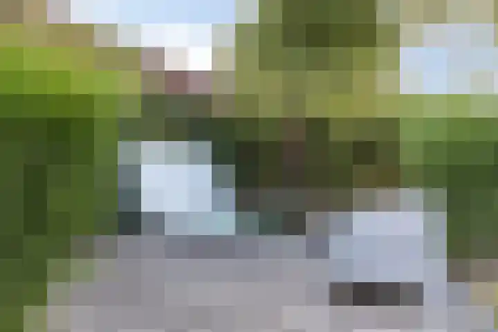 Groot Koemeer 25 Wintelre thumbnail 61