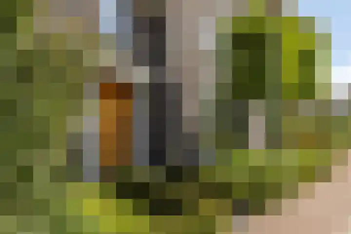 Groot Koemeer 25 Wintelre thumbnail 66