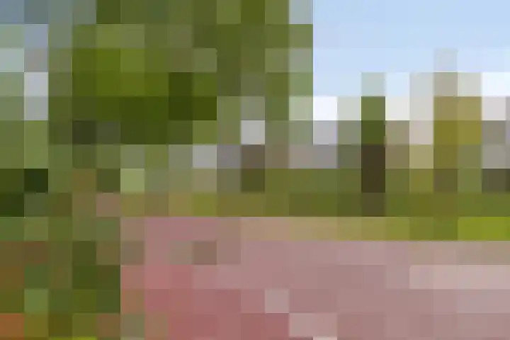 Groot Koemeer 25 Wintelre thumbnail 67