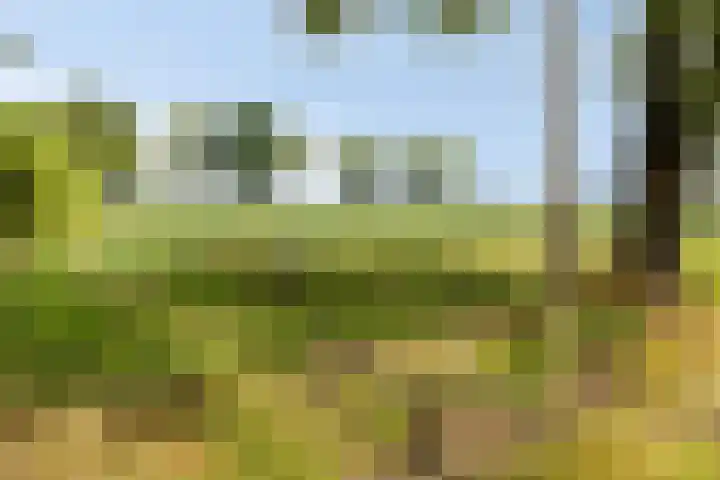 Groot Koemeer 25 Wintelre thumbnail 68