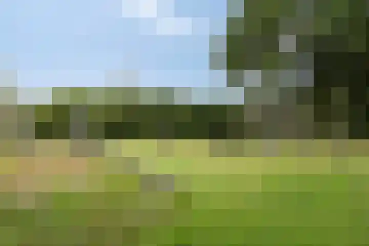 Groot Koemeer 25 Wintelre thumbnail 69