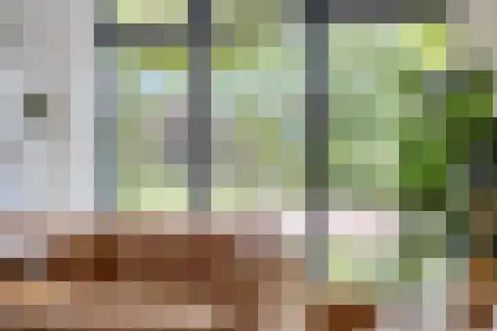 Groot Koemeer 25 Wintelre thumbnail 7