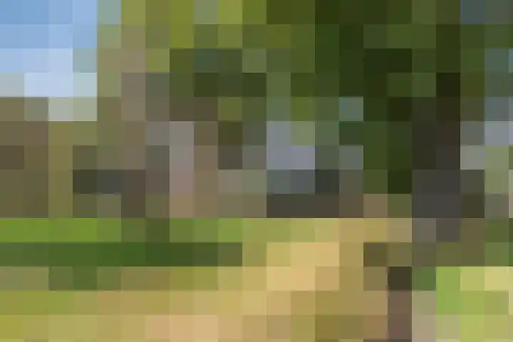 Groot Koemeer 25 Wintelre thumbnail 70