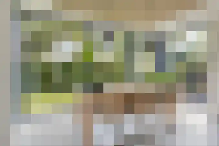 Groot Koemeer 25 Wintelre thumbnail 8