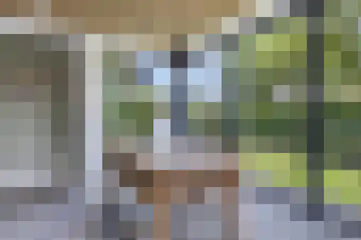 Groot Koemeer 25 Wintelre thumbnail 9