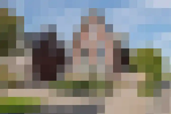 Groot Koolwitje 9 Tiel