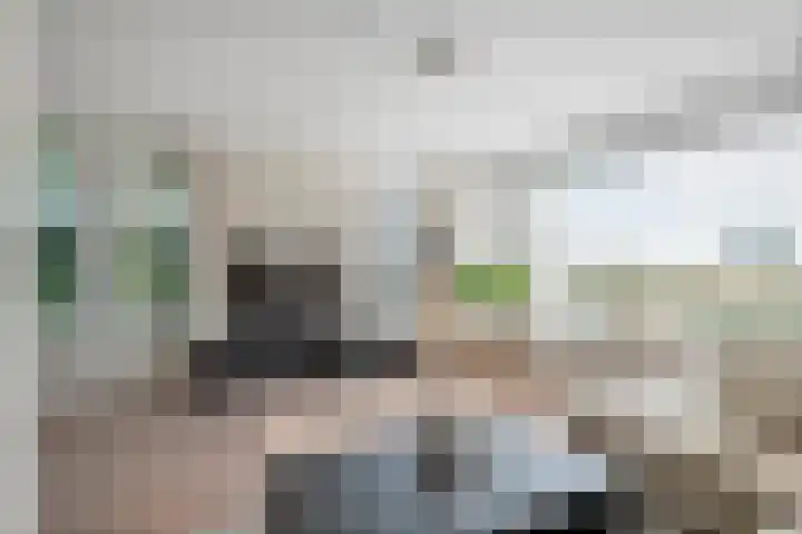 Groot Koolwitje 9 Tiel thumbnail 12