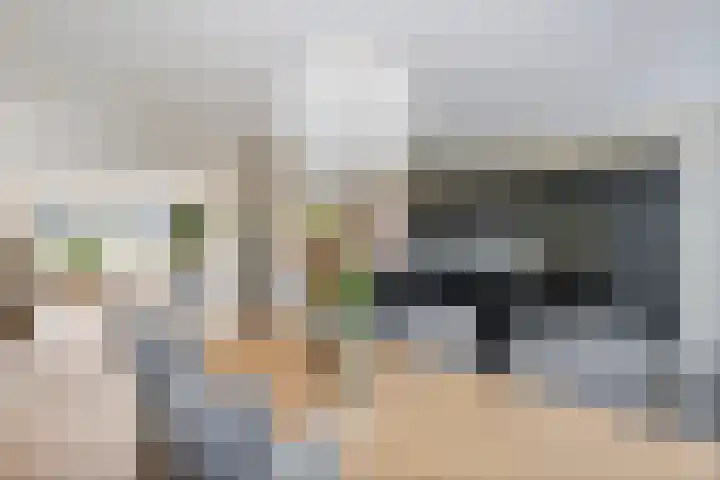 Groot Koolwitje 9 Tiel thumbnail 16