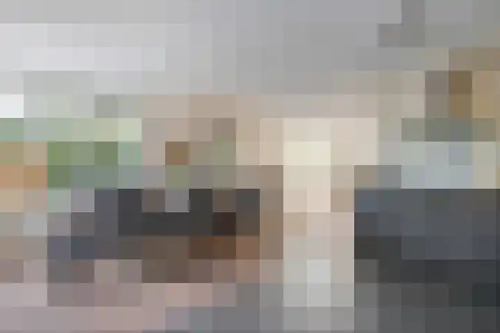 Groot Koolwitje 9 Tiel thumbnail 18