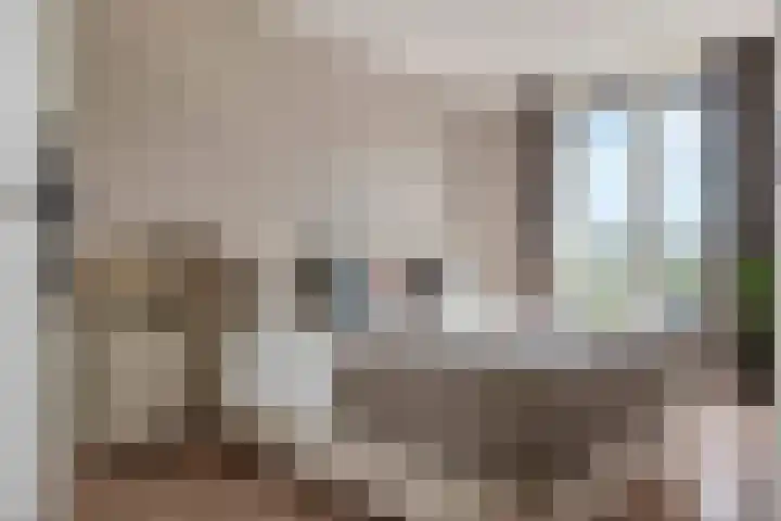 Groot Koolwitje 9 Tiel thumbnail 22
