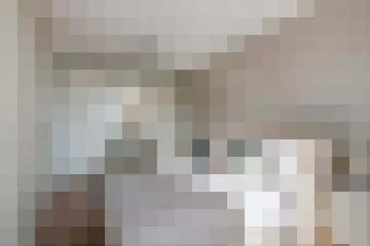 Groot Koolwitje 9 Tiel thumbnail 24
