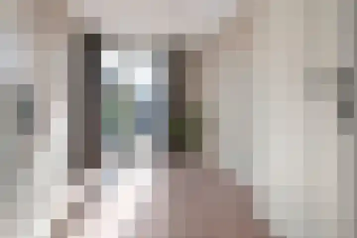 Groot Koolwitje 9 Tiel thumbnail 25
