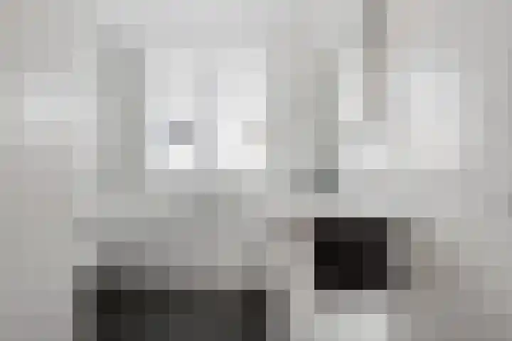 Groot Koolwitje 9 Tiel thumbnail 28