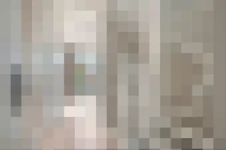 Groot Koolwitje 9 Tiel thumbnail 32