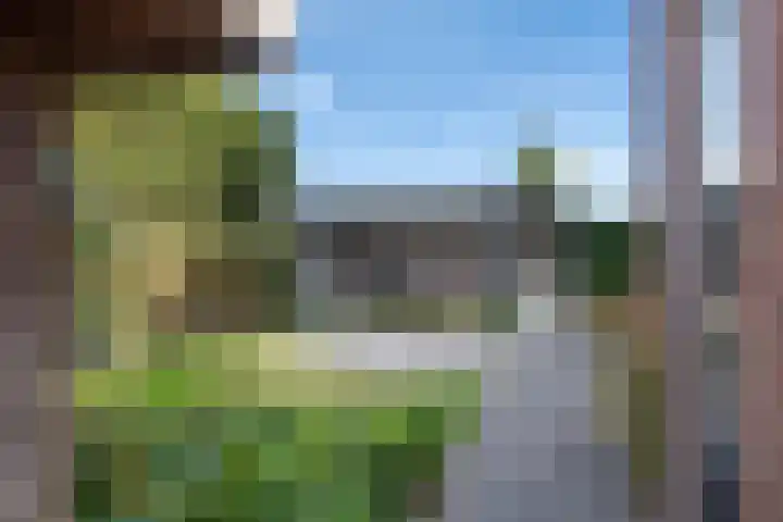 Groot Koolwitje 9 Tiel thumbnail 37
