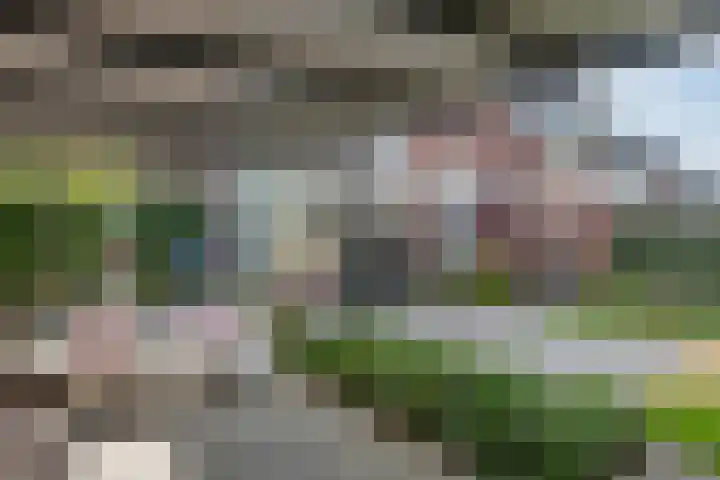 Groot Koolwitje 9 Tiel thumbnail 39
