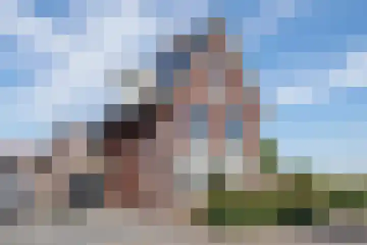 Groot Koolwitje 9 Tiel thumbnail 4