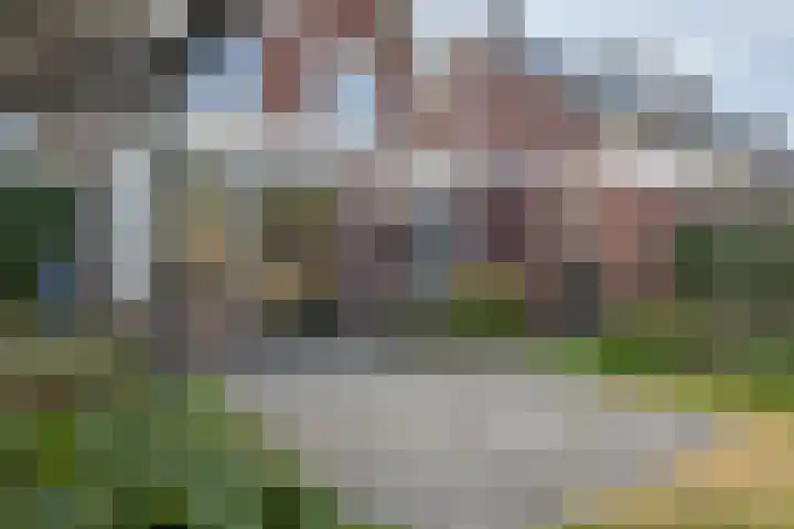 Groot Koolwitje 9 Tiel thumbnail 40
