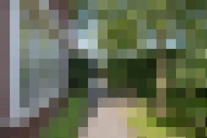 Groot Koolwitje 9 Tiel thumbnail 42