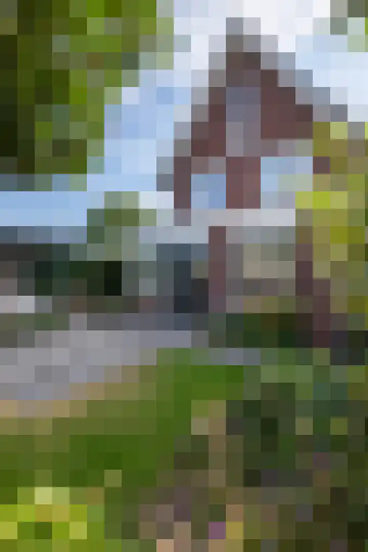 Groot Koolwitje 9 Tiel thumbnail 43