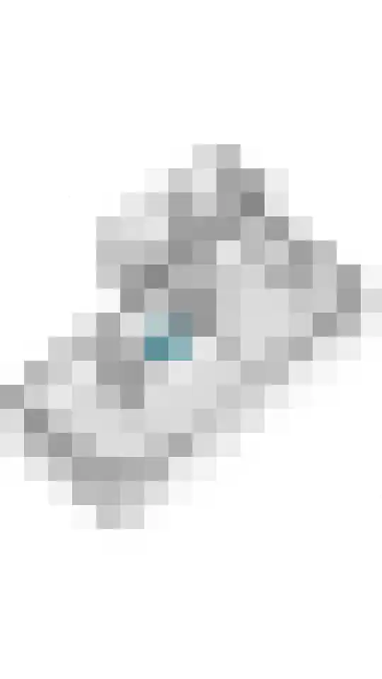 Groot Koolwitje 9 Tiel thumbnail 48
