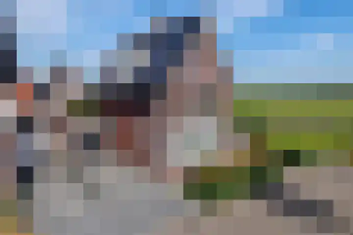 Groot Koolwitje 9 Tiel thumbnail 5