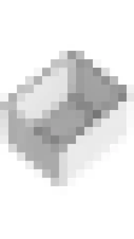 Groot Koolwitje 9 Tiel thumbnail 51
