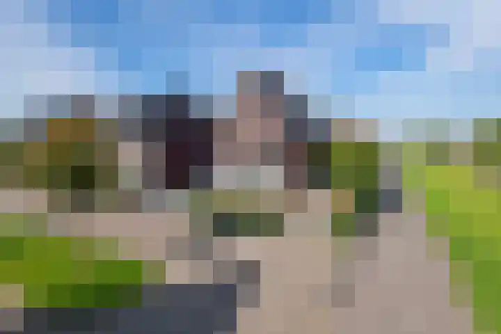 Groot Koolwitje 9 Tiel thumbnail 6