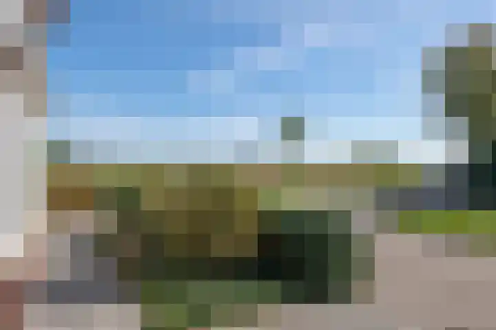 Groot Koolwitje 9 Tiel thumbnail 7