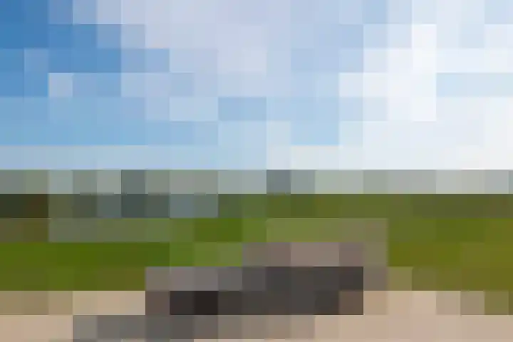 Groot Koolwitje 9 Tiel thumbnail 8